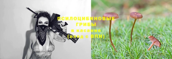 МДПВ Абаза