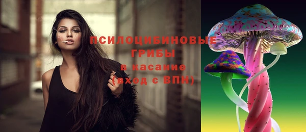 крисы Абинск